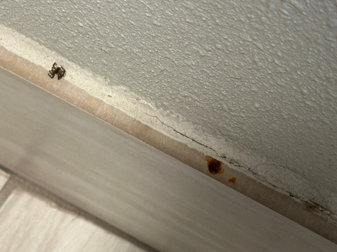 Holiday Inn Express Quantico - Stafford By IHG主图