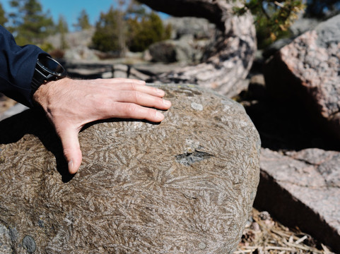 Reset Holidays Oy-赫尔辛基必去景点