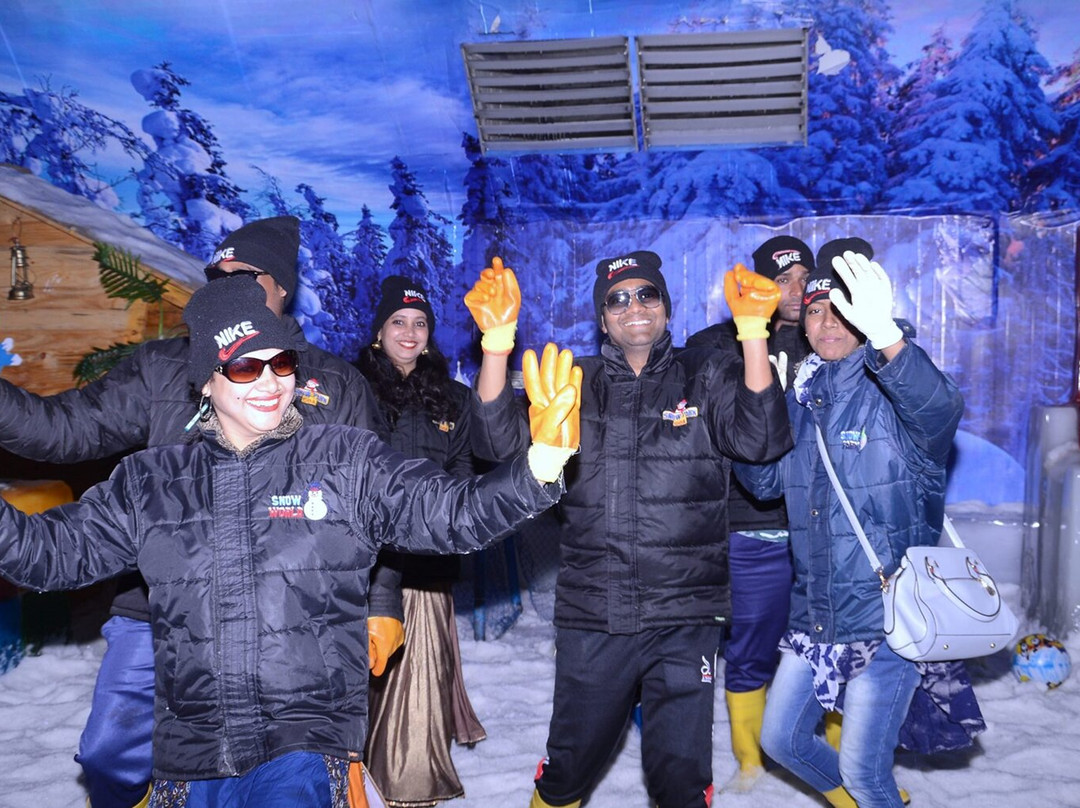Snow Park Dwarka景点图片
