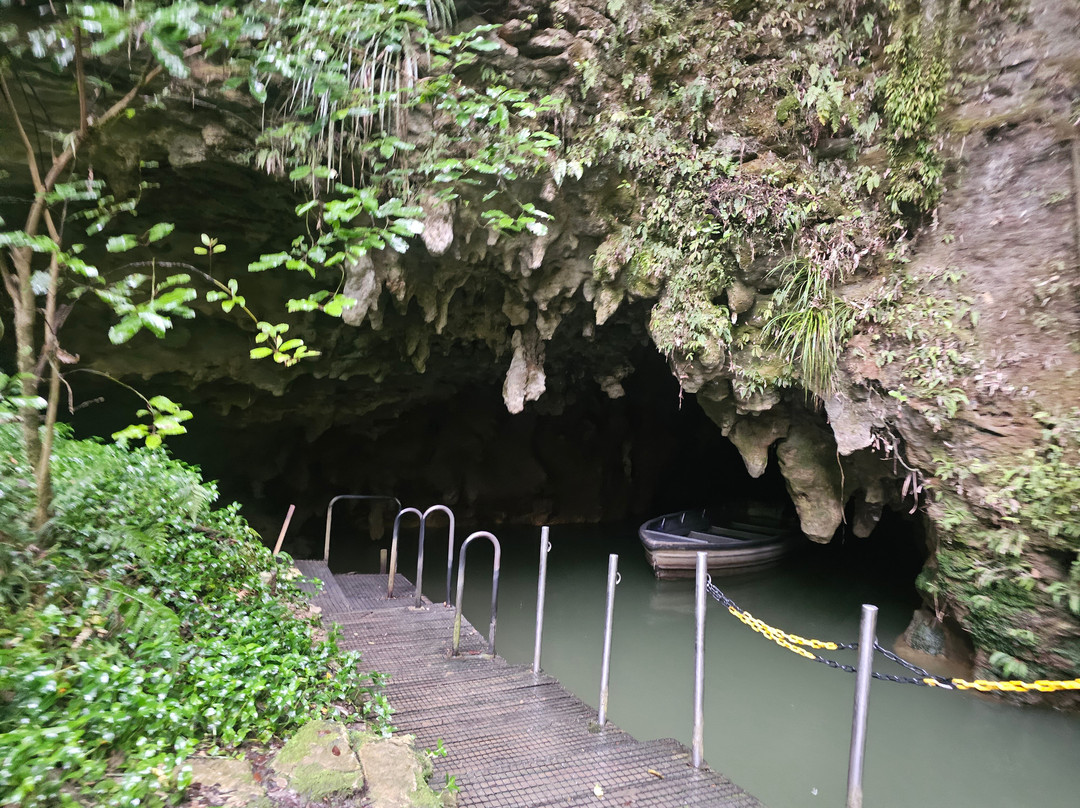Cheeky Kiwi Travel景点图片