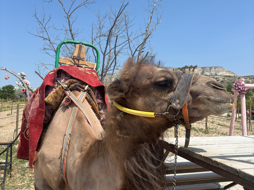 Moon Gleam Travel Agency-格雷梅必去景点