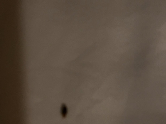 艾尼门茨格里酒店主图