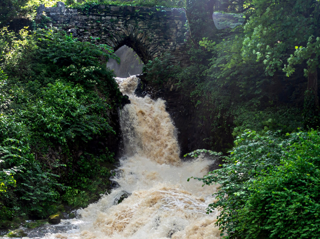 Ingleborough Estate Nature Trail景点图片