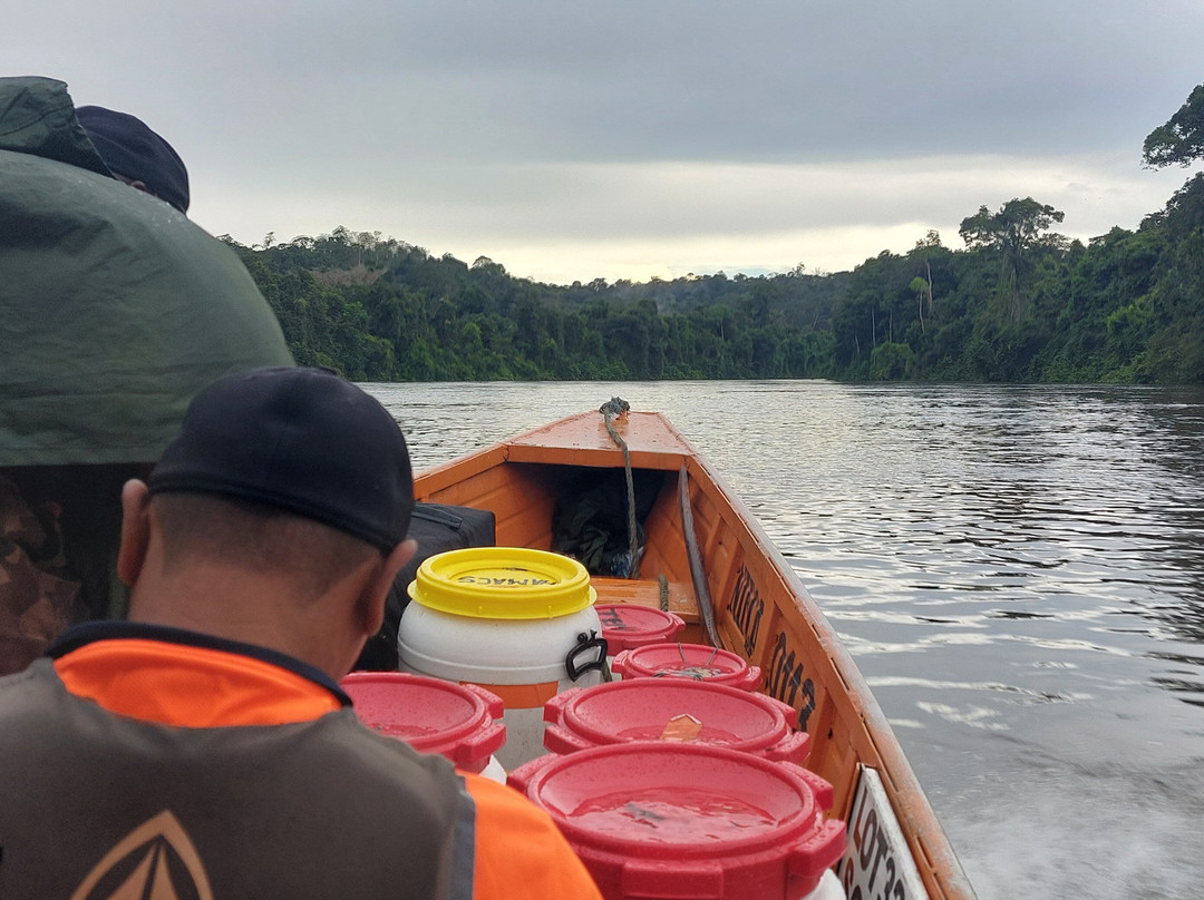 Guyane Brésil Transport景点图片