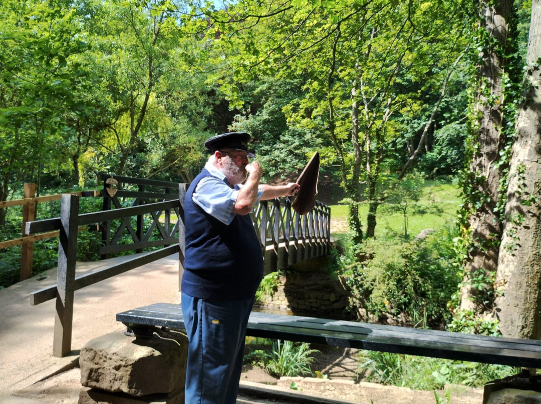 Saltburn Miniature Railway Ltd-Saltburn-by-the-Sea必去景点