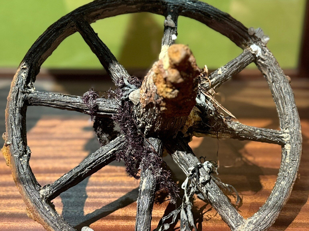 Lowe Art Museum-科勒尔盖布尔斯必去景点