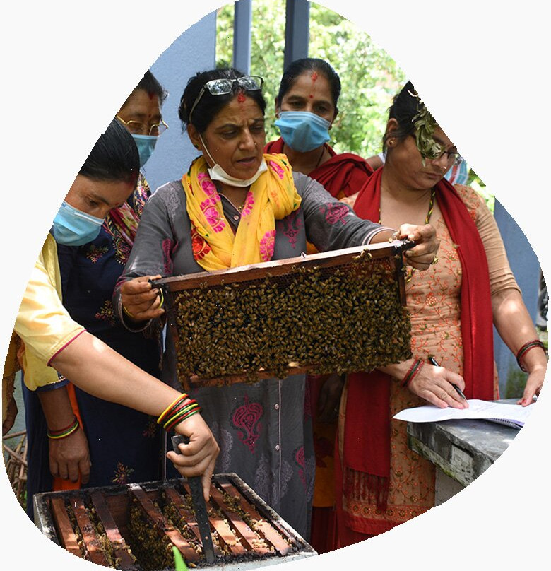 Sagar Bee-Gaindakot必去景点