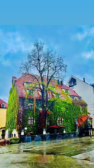 普拉茨尔酒店主图