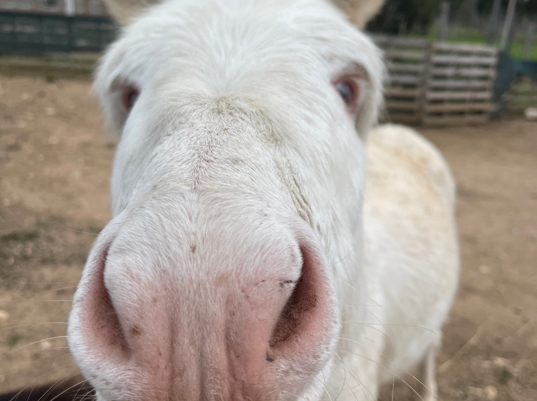 Rifugio Domo Mea-Olmedo必去景点