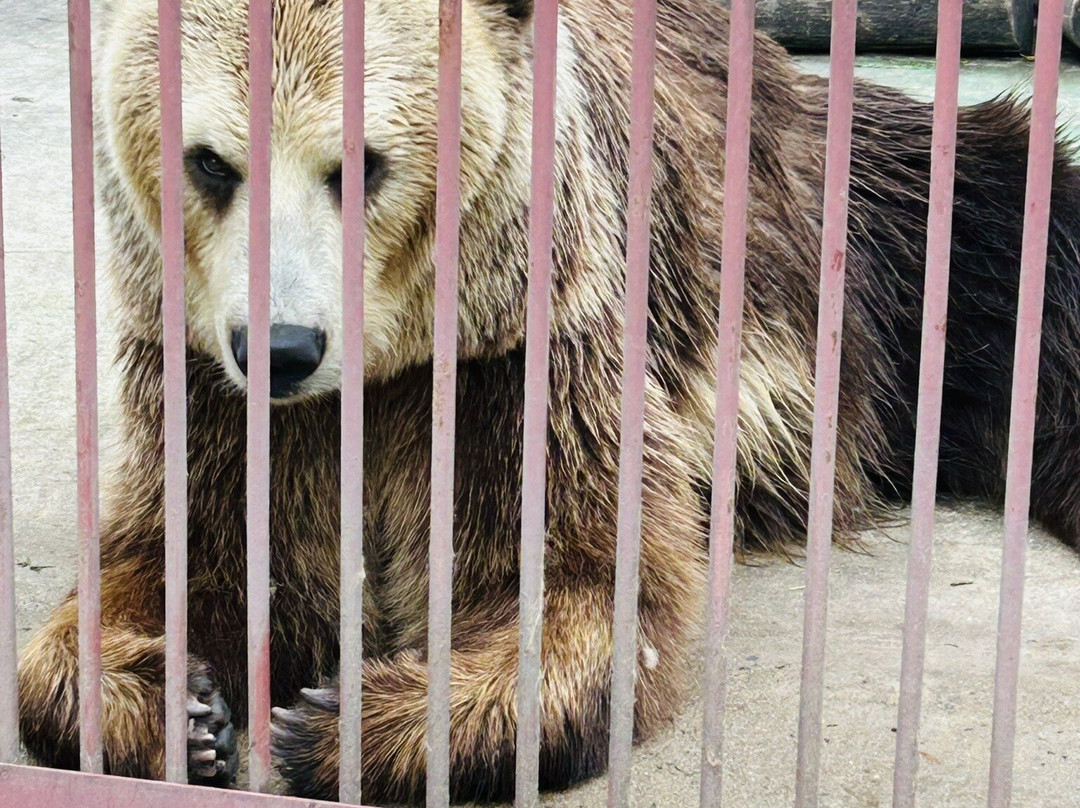 Minsk Zoo-明斯克必去景点