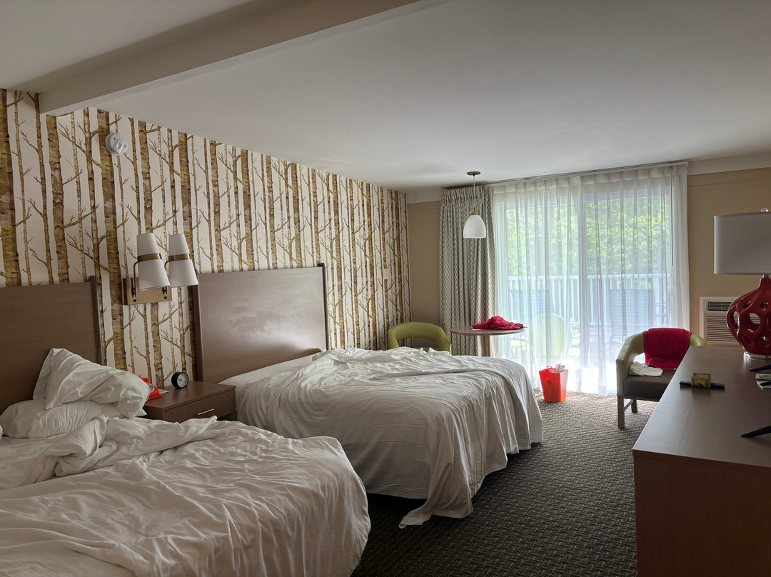 Bar Harbor Motel主图