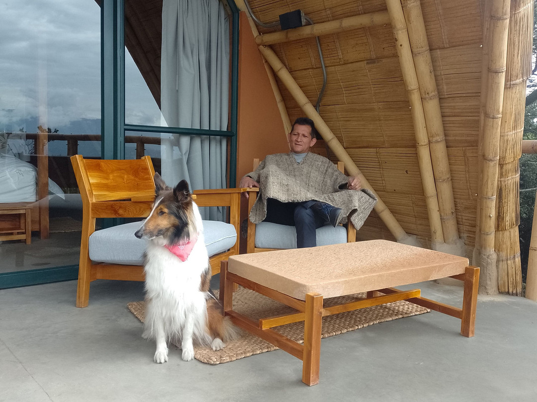 Hotel Casa Selvaggio