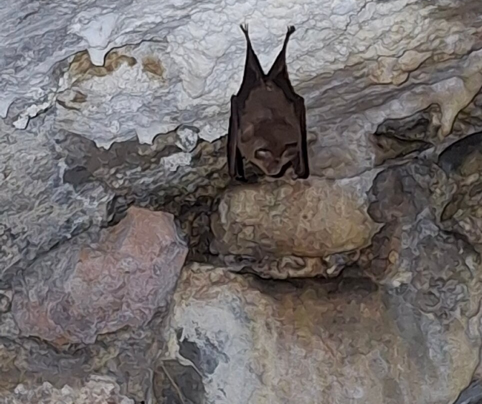 Fortezza di Sarzanello-Sarzana必去景点