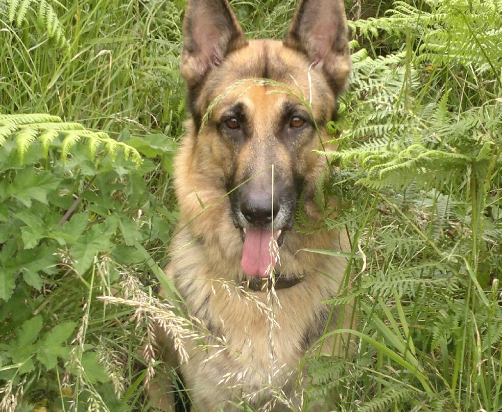 Neldi Art Gallery-帕福斯必去景点