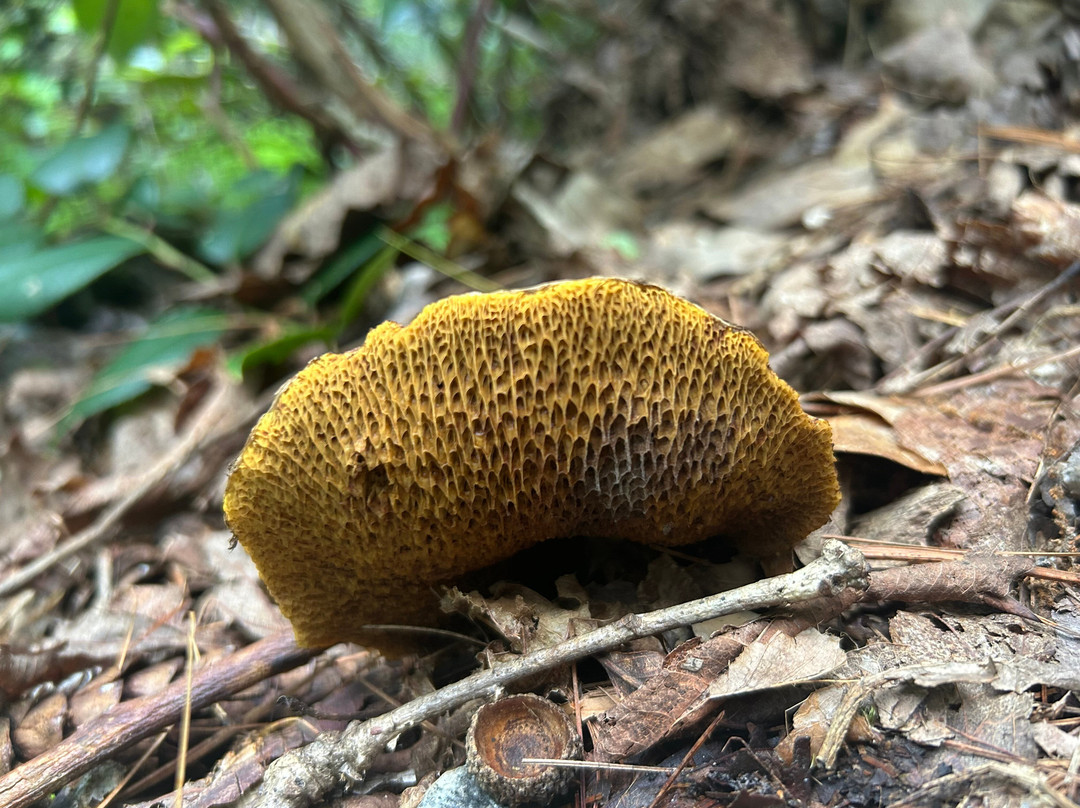 Cliffside Lake Recreation Area-海兰兹必去景点
