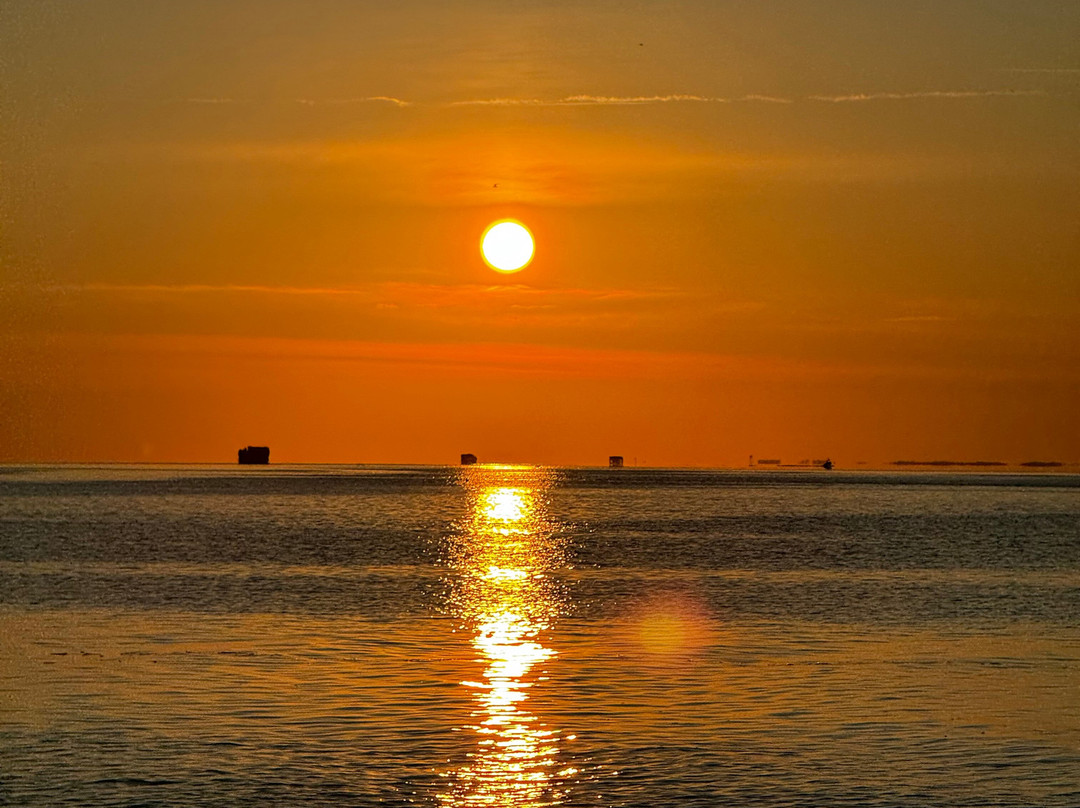 Paradise Dolphin Cruises-Wanchese必去景点