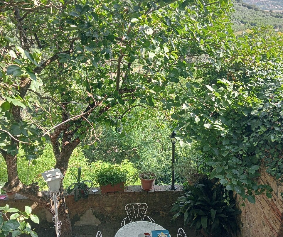 B&B Locanda Etrusca主图