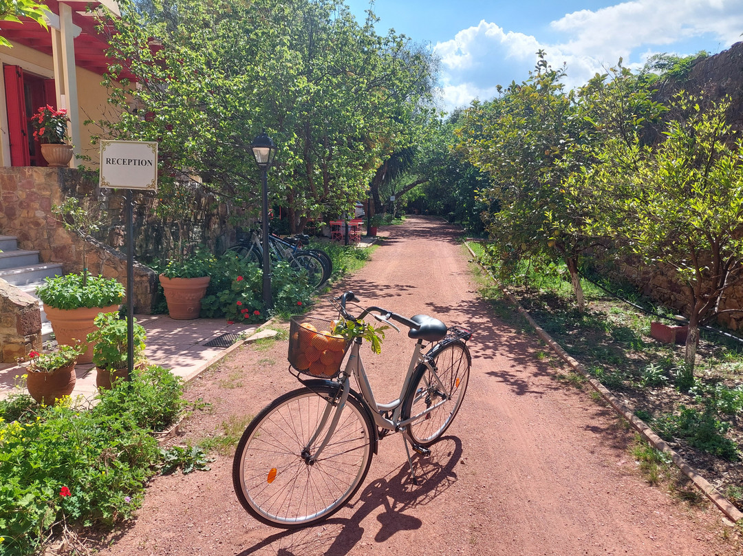 Bella Cisterna主图