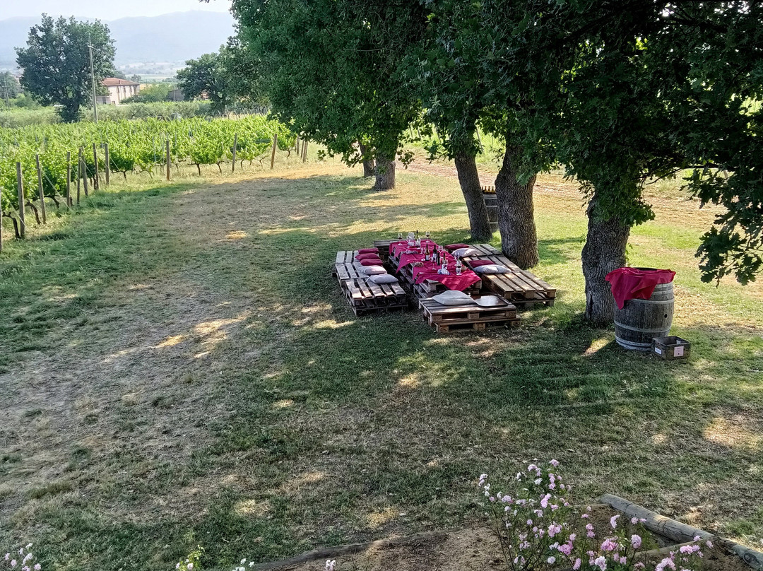 Tenuta Lungarotti-Montefalco必去景点