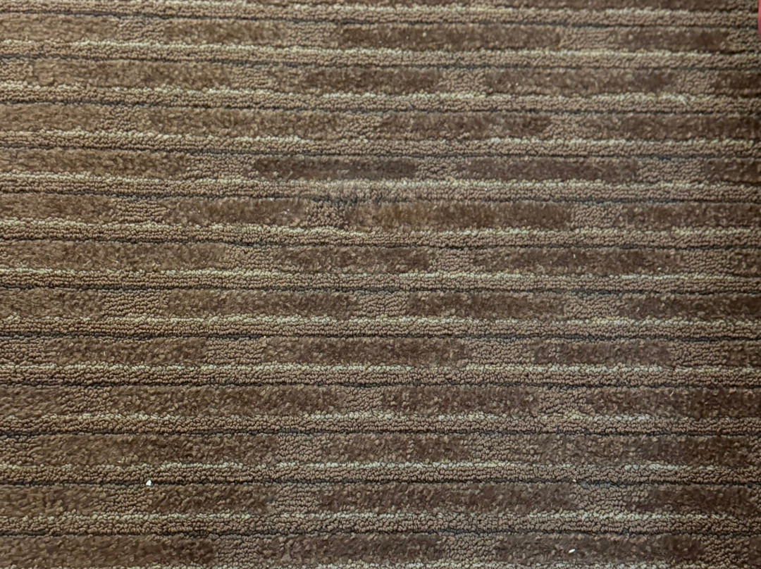 Best Western Of Alexandria Inn & Suites & Conference Center主图