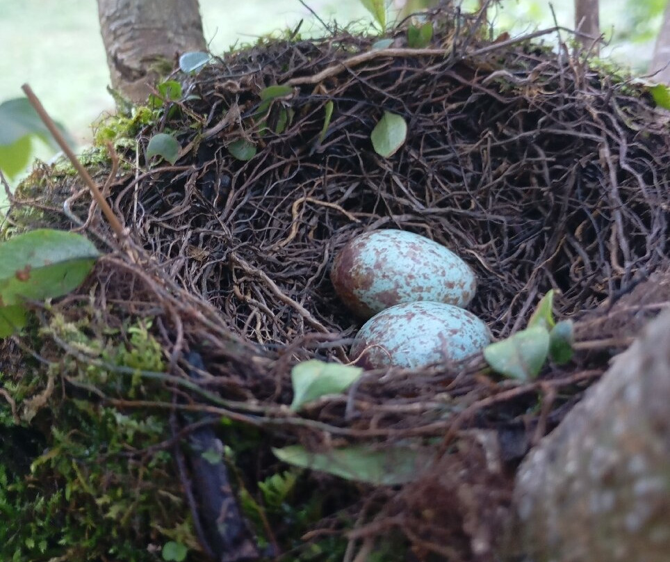 Malou Et Son Verger-Roura必去景点