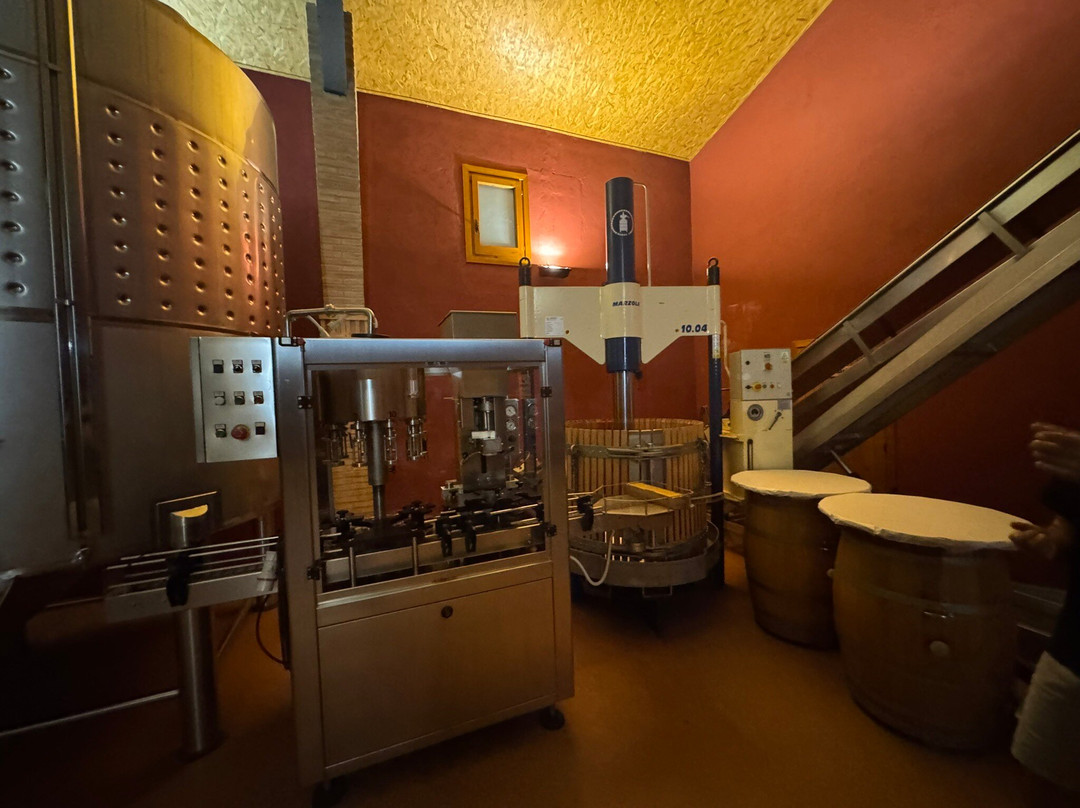 Bodegas Sers-Cofita必去景点