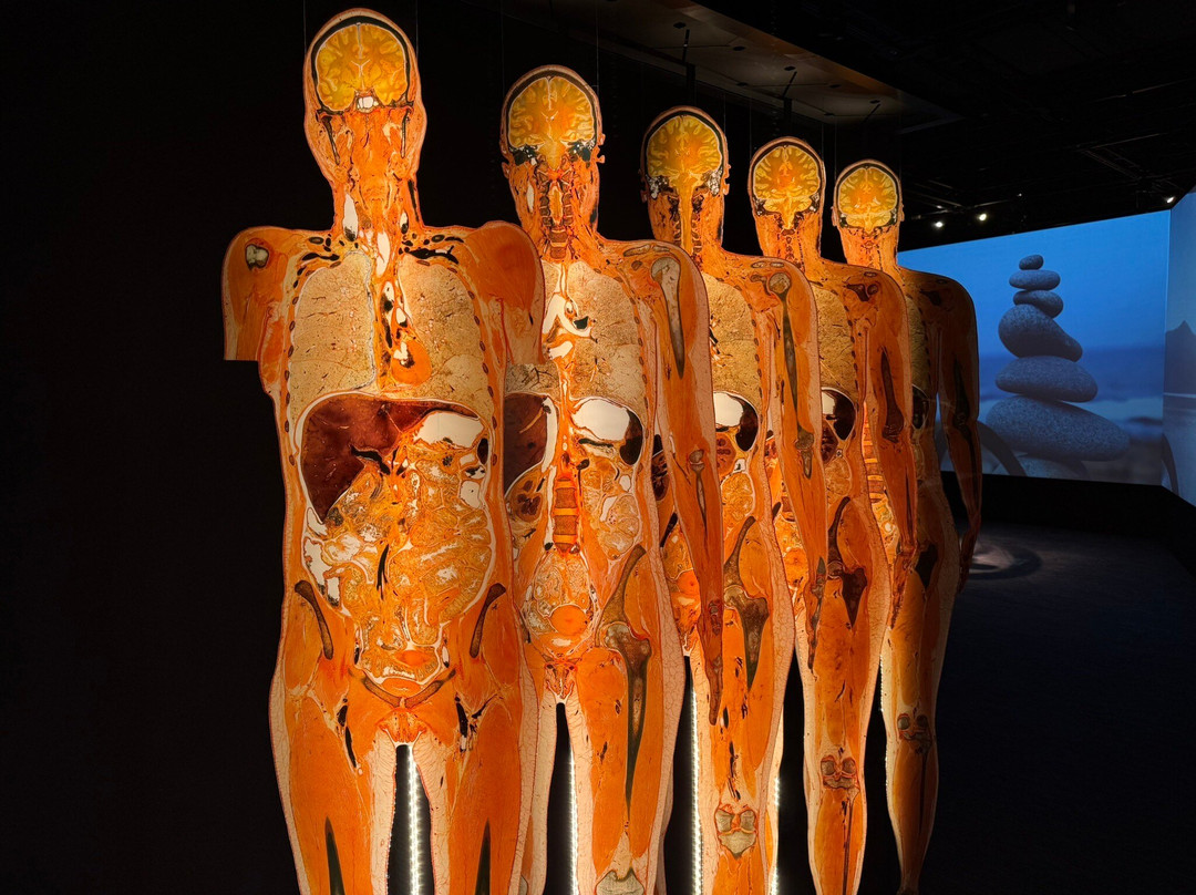 富兰克林研究院科学博物馆-费城必去景点