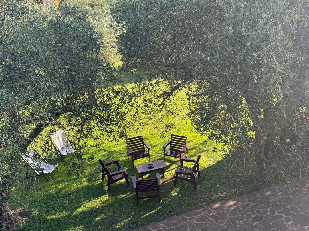 B&B Nuraghe Bianco主图