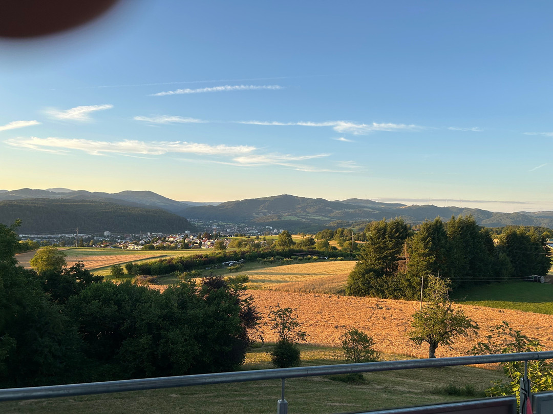 Hotel Restaurant Hohe Flum主图