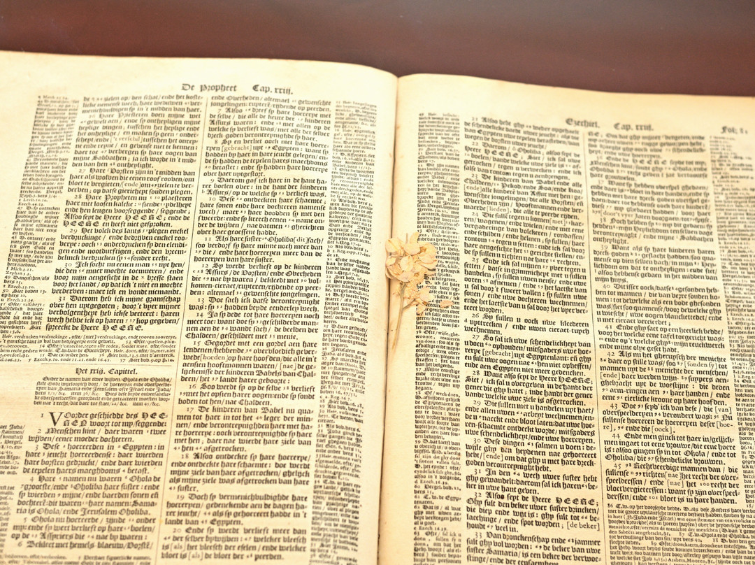 Huguenot Memorial Museum-法兰舒克必去景点