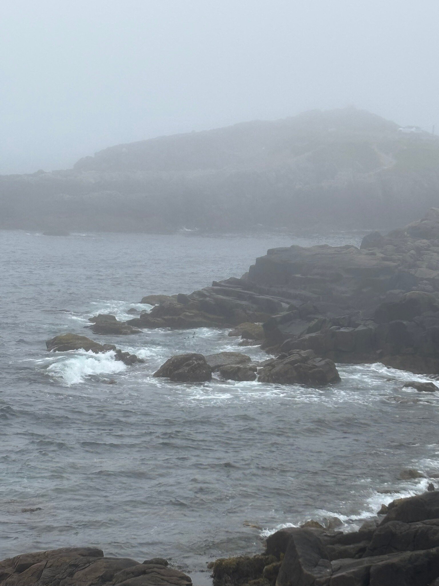 路易斯堡港住宿加早餐旅馆-官方