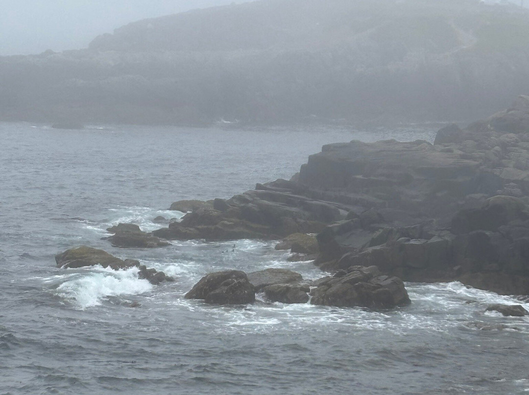 路易斯堡港住宿加早餐旅馆主图