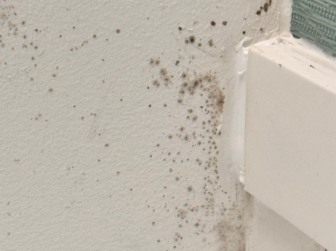 Home2 Suites By Hilton Memphis - Southaven主图