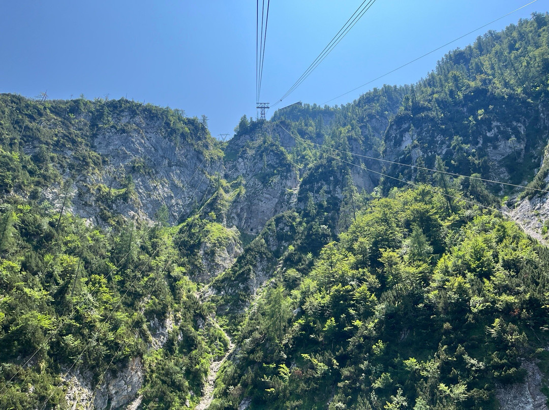 Vogel Cable Car