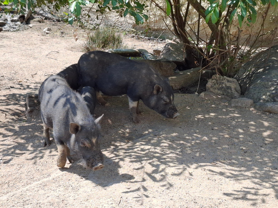 Monte Selvagem-Lavre必去景点