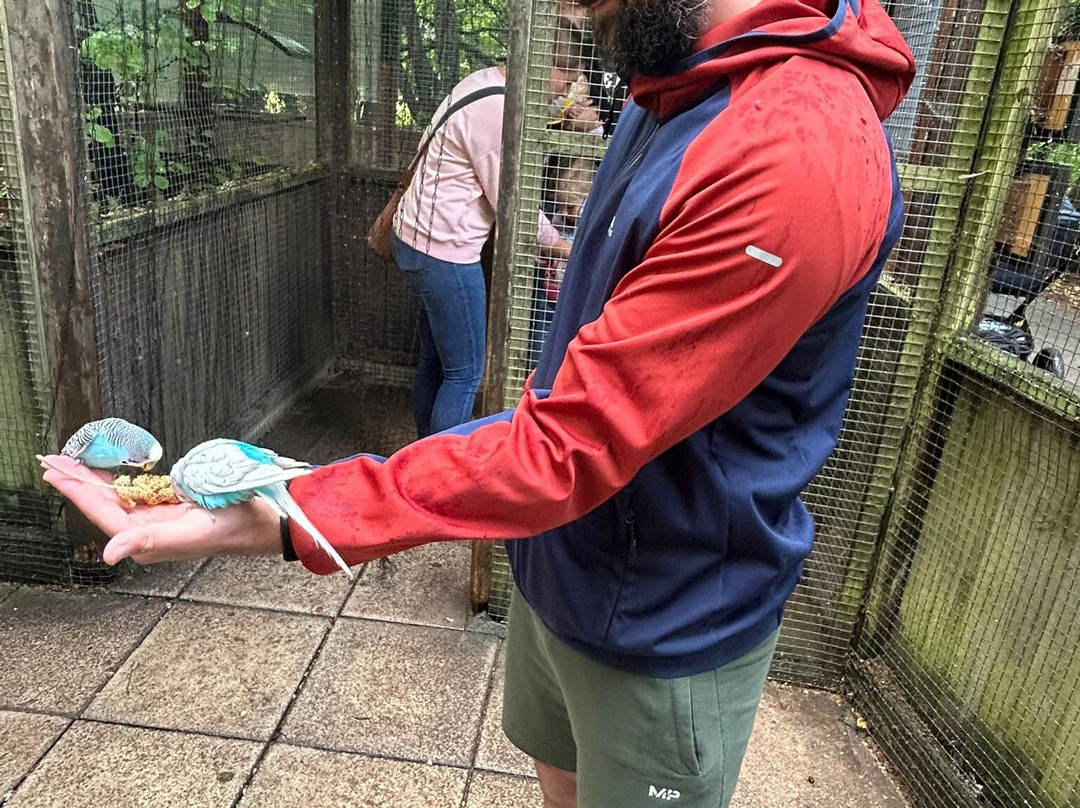 Tropical Birdland-Desford必去景点