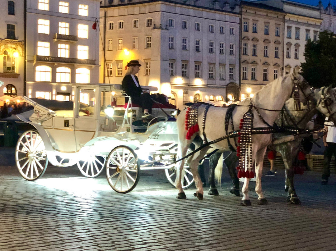 GFP Travel - Day Tours in Poland-Toszek必去景点