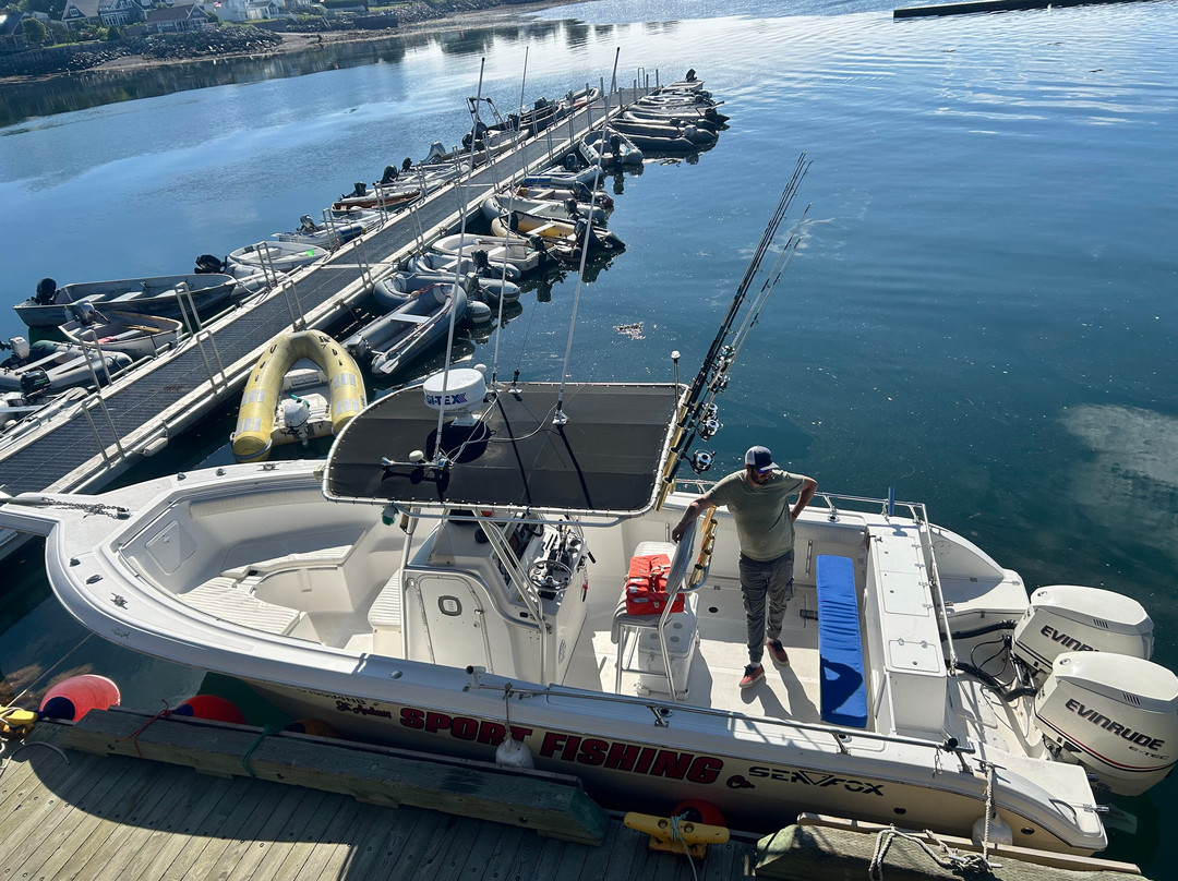 Island Quest Marine-Saint Andrews必去景点