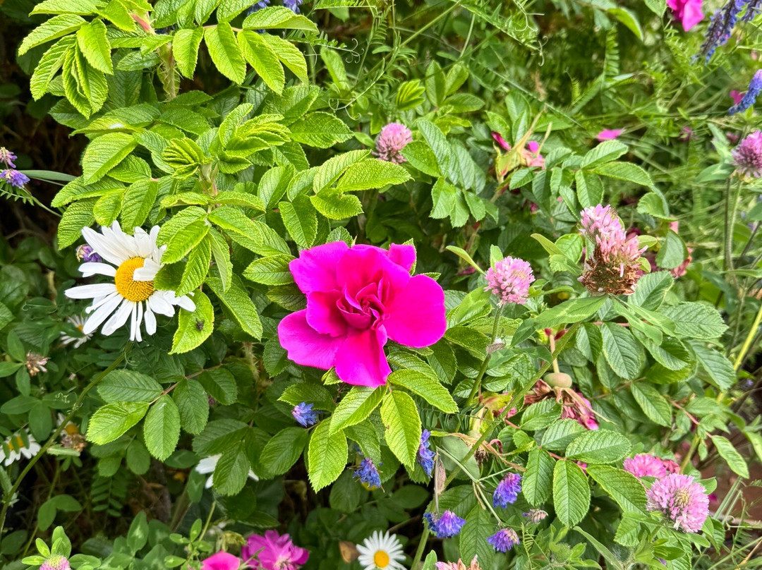 Turnagain View Lodge & Wedding Venue主图