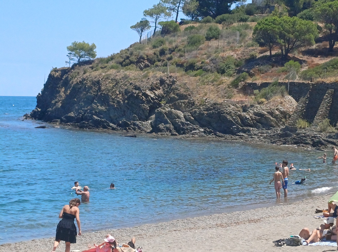 Plage de Paulilles-Port-Vendres必去景点