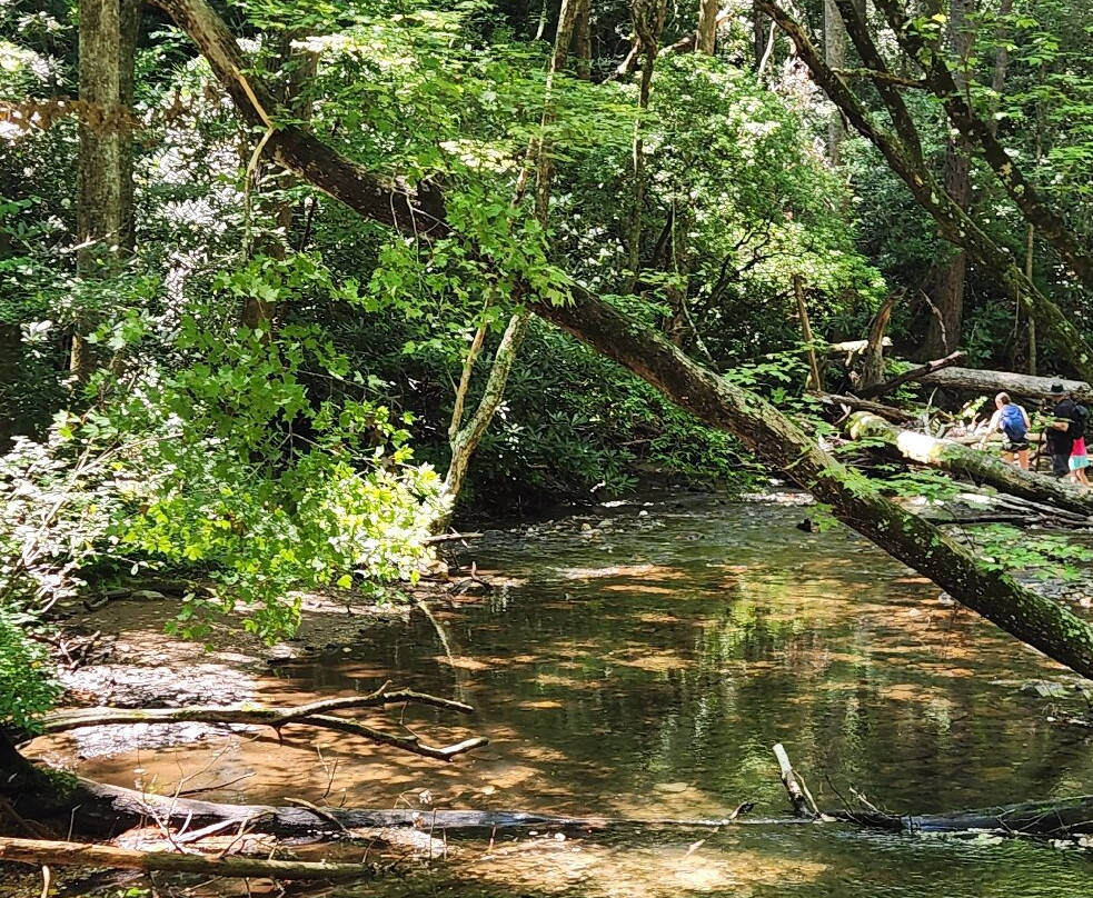 High Shoals Falls Trail-Hiawassee必去景点