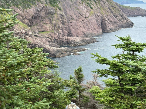 Cobbler's Path Trail-Logy Bay - Middle Cove - Outer Cove必去景点