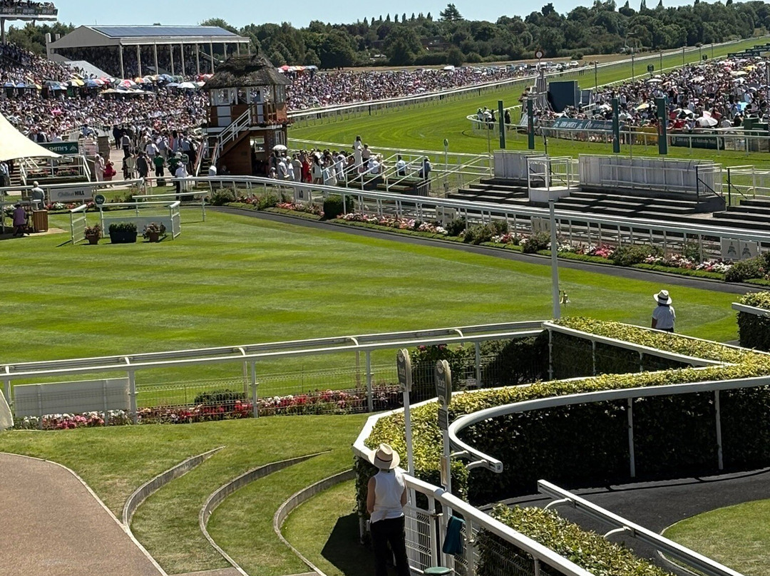 York Racecourse-约克必去景点