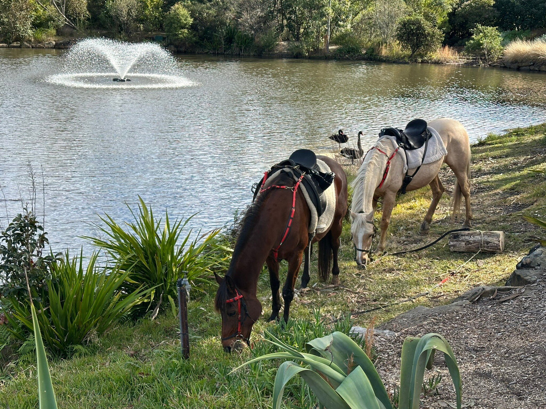 Saddles Garden Centre-Mount White必去景点
