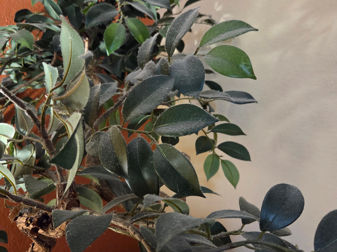 Holiday Inn Express & Suites Laurinburg by IHG主图