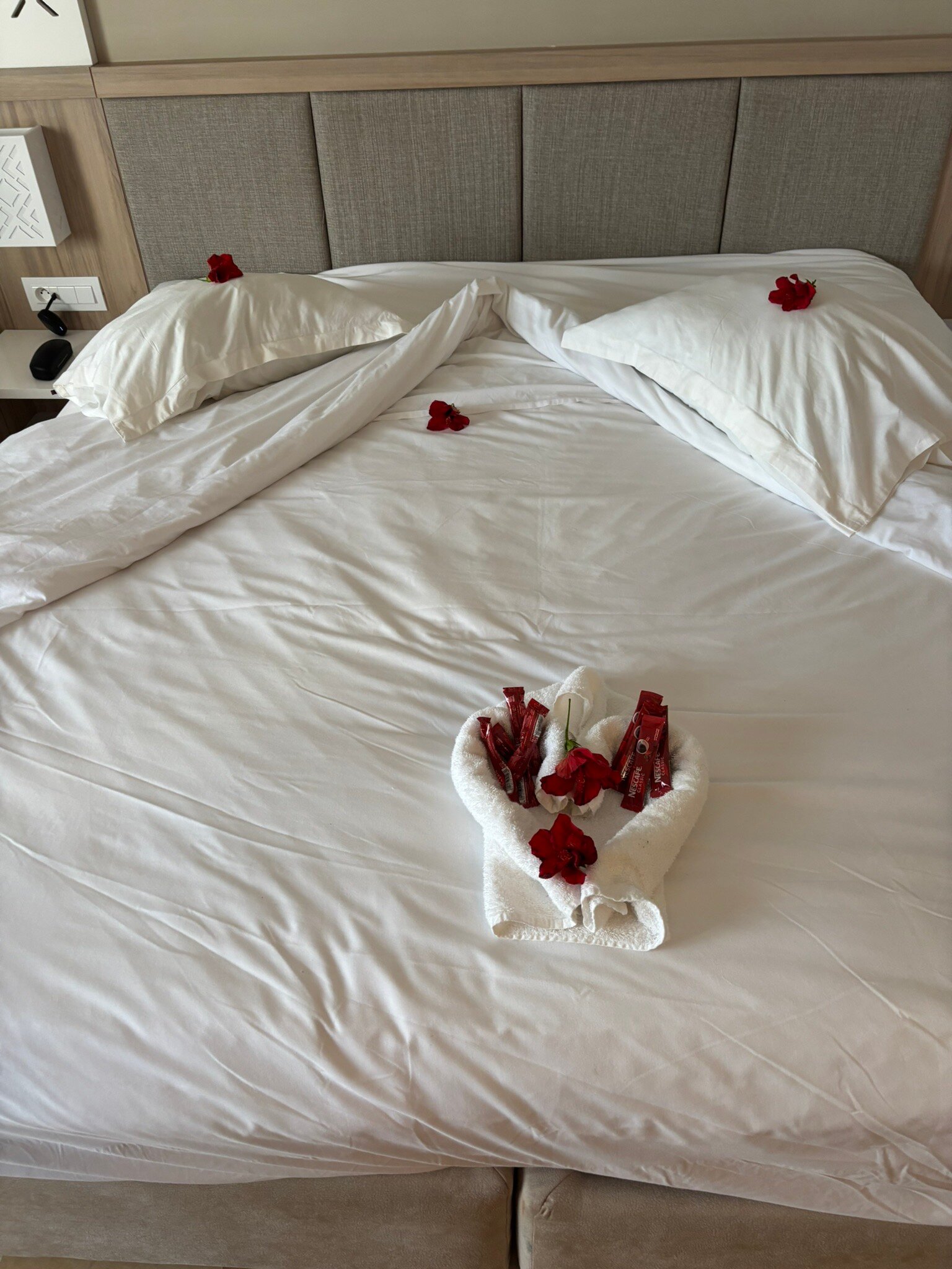 TUI BLUE Palm Beach Hammamet-官方