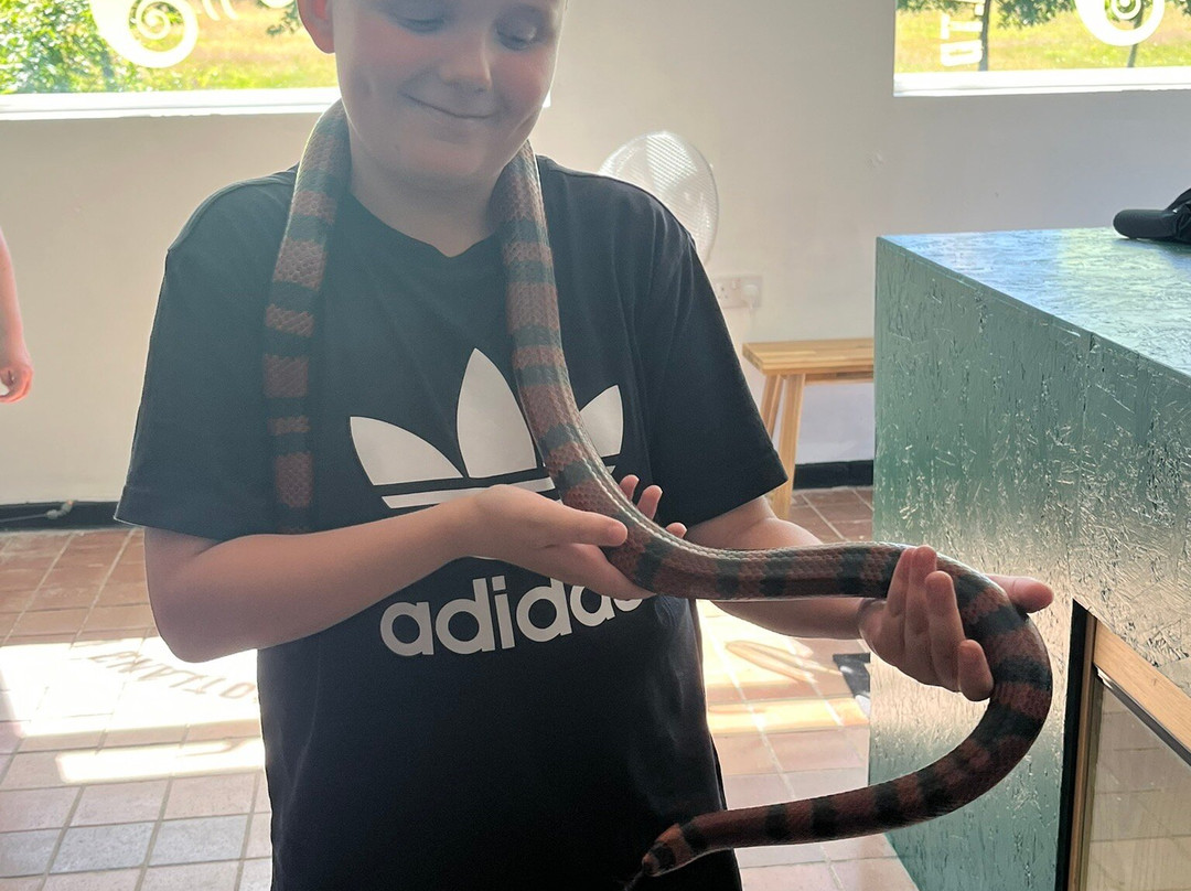 Reptile Encounters Scotland Ltd-Stevenston必去景点