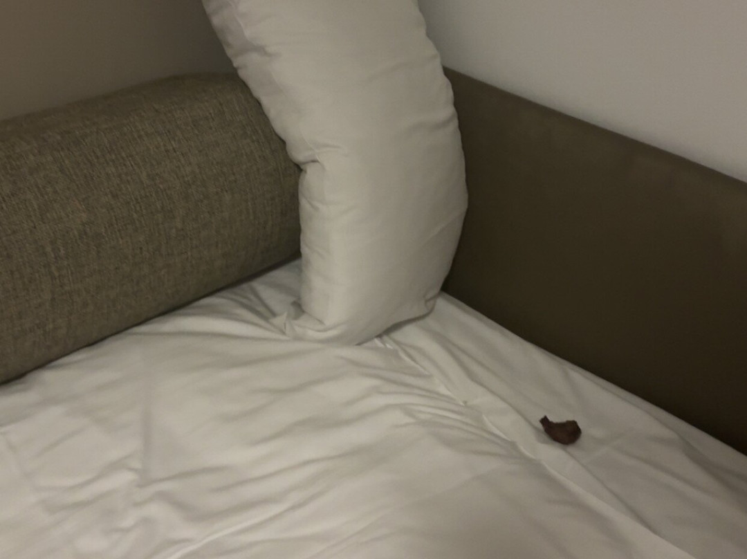 Premier Inn Lisburn hotel主图