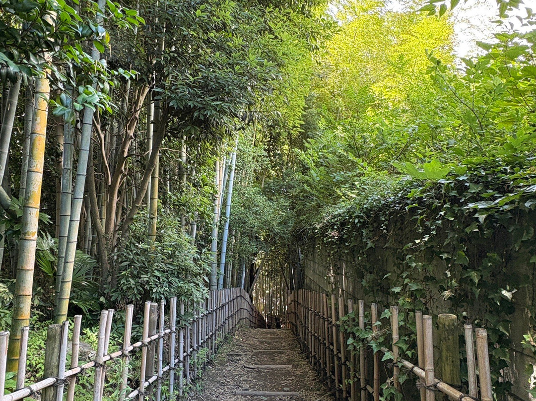 Hiyodori Hill-佐仓市必去景点