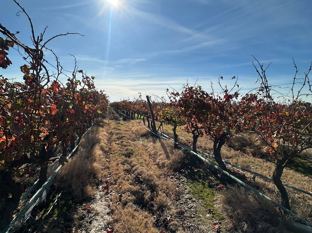 Bodega Garaje Casa Grande-Canelones必去景点